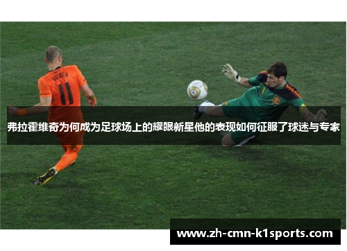 弗拉霍维奇为何成为足球场上的耀眼新星他的表现如何征服了球迷与专家